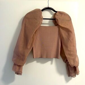 Zara Organza top